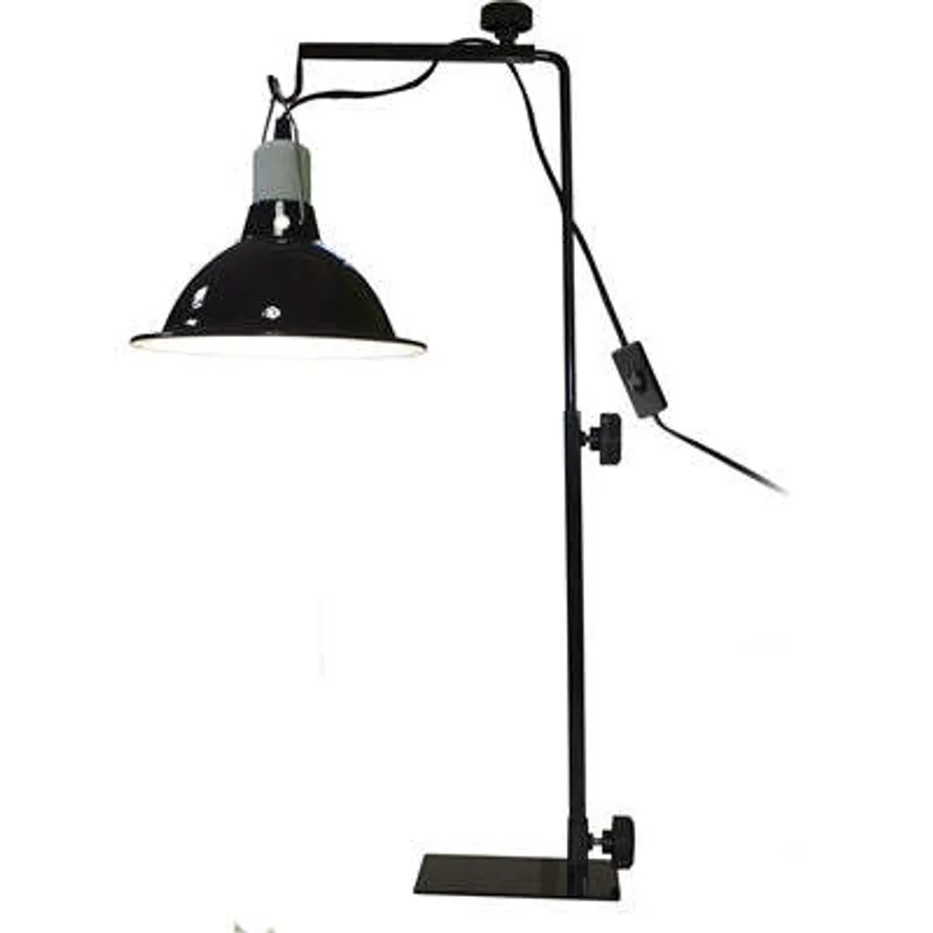 Komodo Light Standard - Éclairage de Studio Professionnel Haute Précision