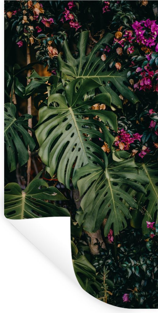 MuchoWow Wandtattoo Wandsticker Wandaufkleber Monstera (Lochpflanze) Hintergrund 40x80 cm Selbstklebend und Repositionierbar - Repositionierbar -...