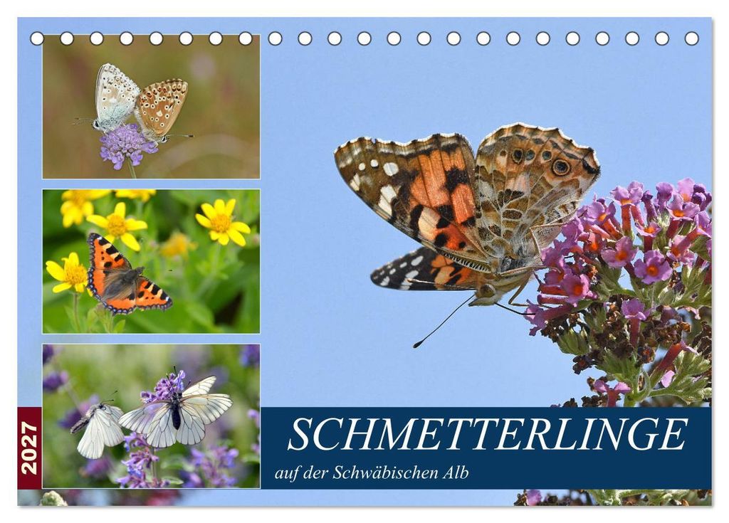 Schmetterlinge auf der Schwäbischen Alb (Tischkalender 2027 DIN A5 quer), CALVENDO Monatskalender