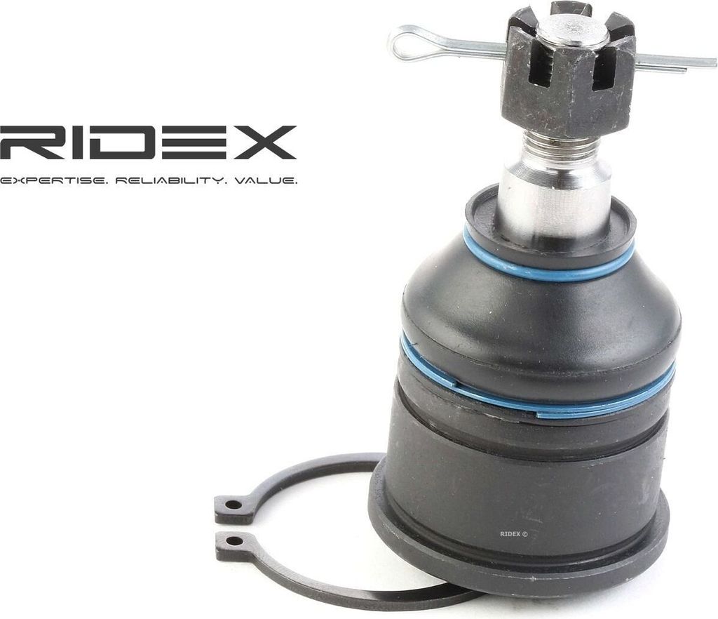 RIDEX Traggelenk Vorne Unten für HONDA Accord VI Limousine (CK, CG, CH, CF8) 2462S0082