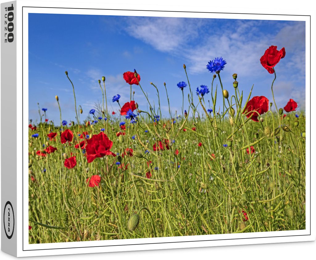 raxxa Premium-Puzzle "Feldblumen", 1000 Teile