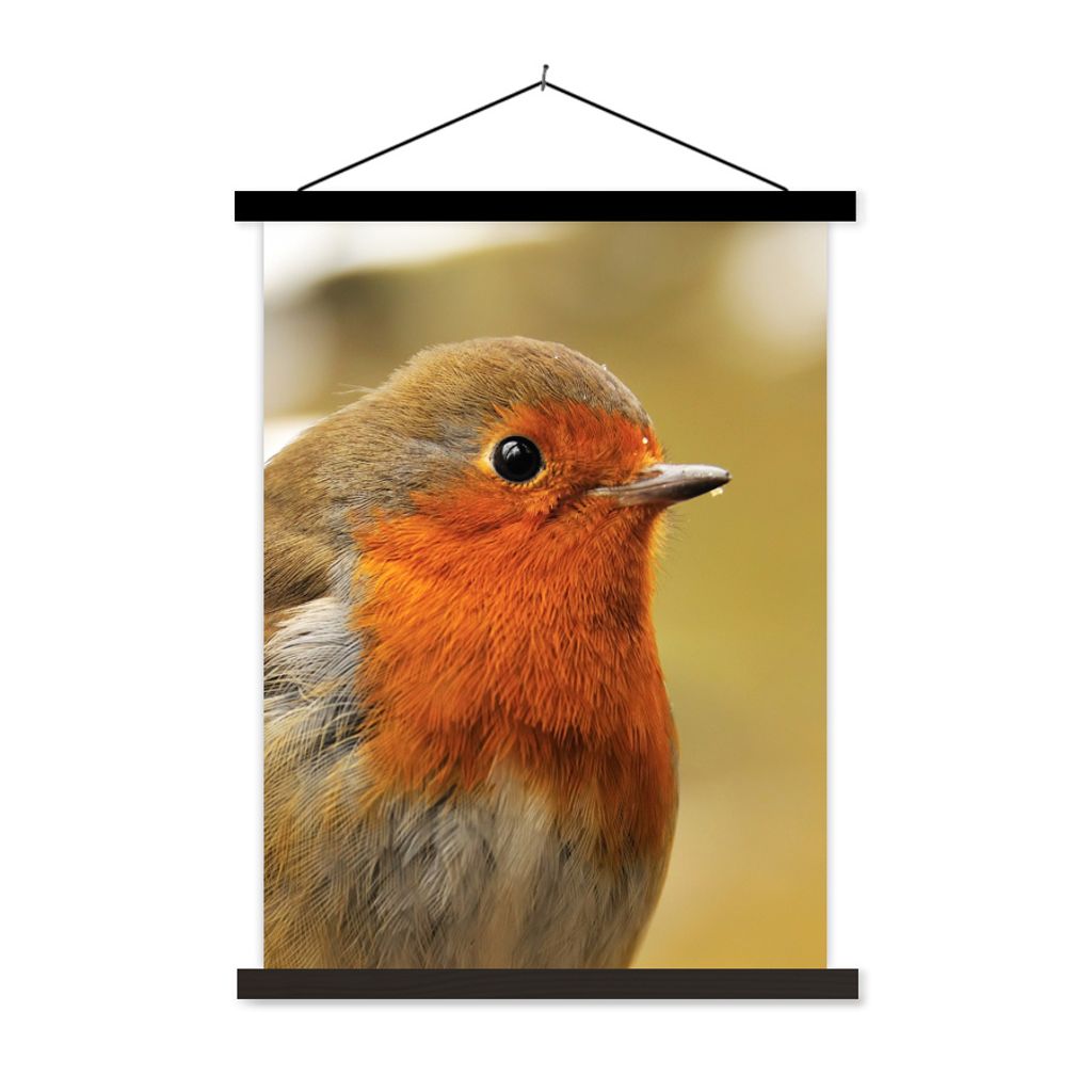 MuchoWow Textilposter Vogel - Rotkehlchen - Porträt 90x120 cm mit schwarzem Rahmen - Dekoration
