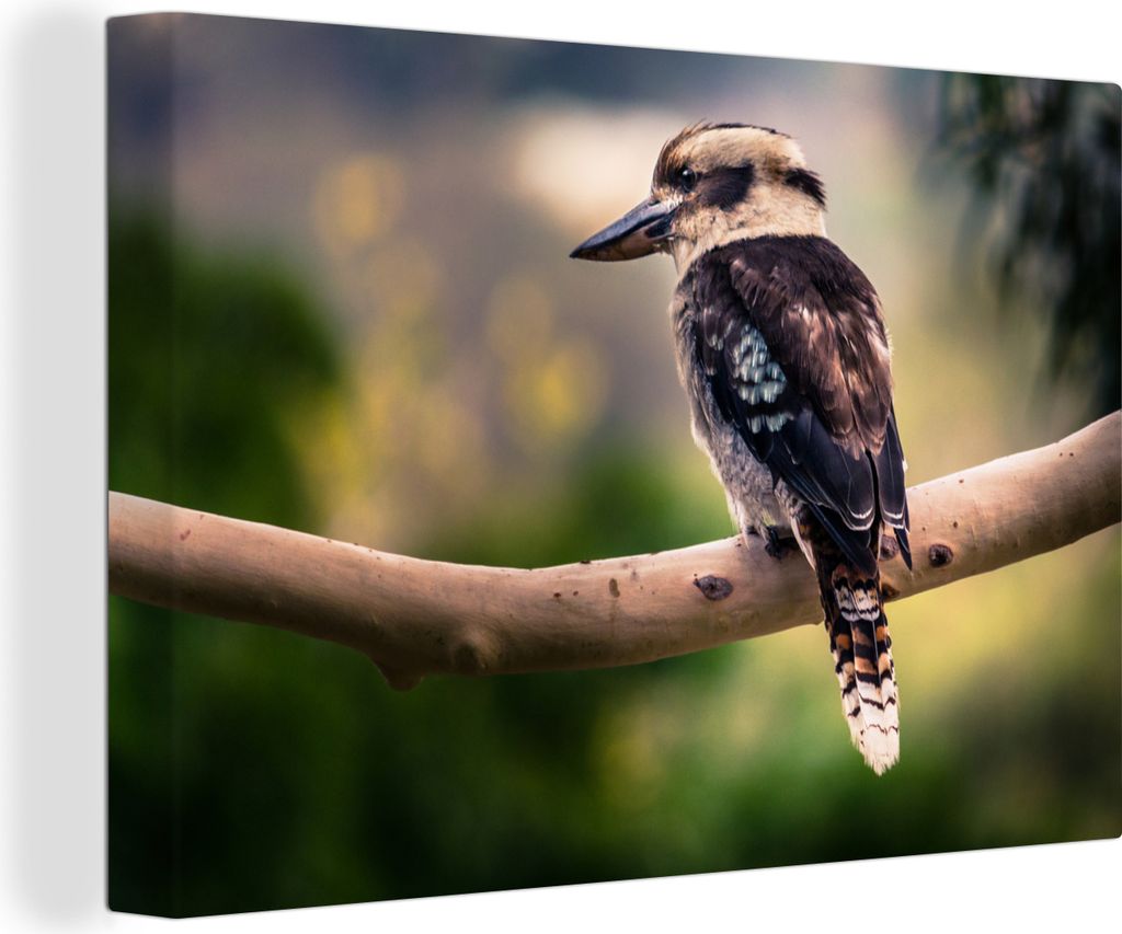 OneMillionCanvasses - Leinwandbilder - 140x90 cm, Ein dunkler Kookaburra oder lachender Vogel in der Natur auf einem gebogenen Ast, Wandbilder Ku...