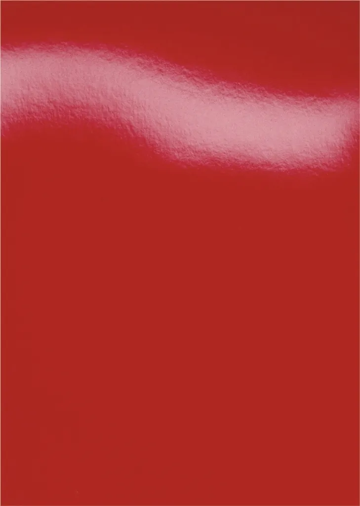 Couverture cartonnée A4 250g HiGloss rouge pour reliure - Lot de 1000