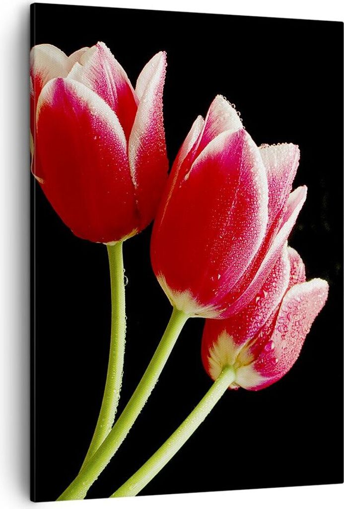 Bild auf Leinwand - Leinwandbild - Einteilig - Tulpe garten Produktbild 