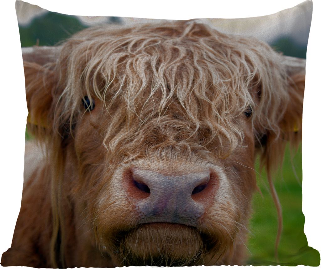 MuchoWow Outdoor Kissen - Schottische Hochlandrind - Gras - Wald - 60x60 cm - Wetterfest - Lounge Kissen - Dekoration - Schlaf Kissen