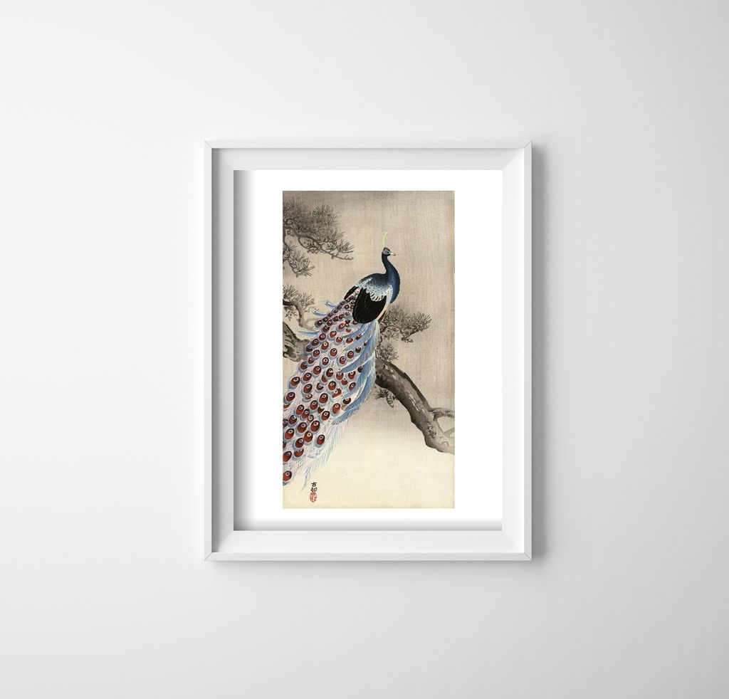 Poster - Canvas - Leinwand - 29,7 cm x 42 cm - Peacock auf einem Tannenzweig