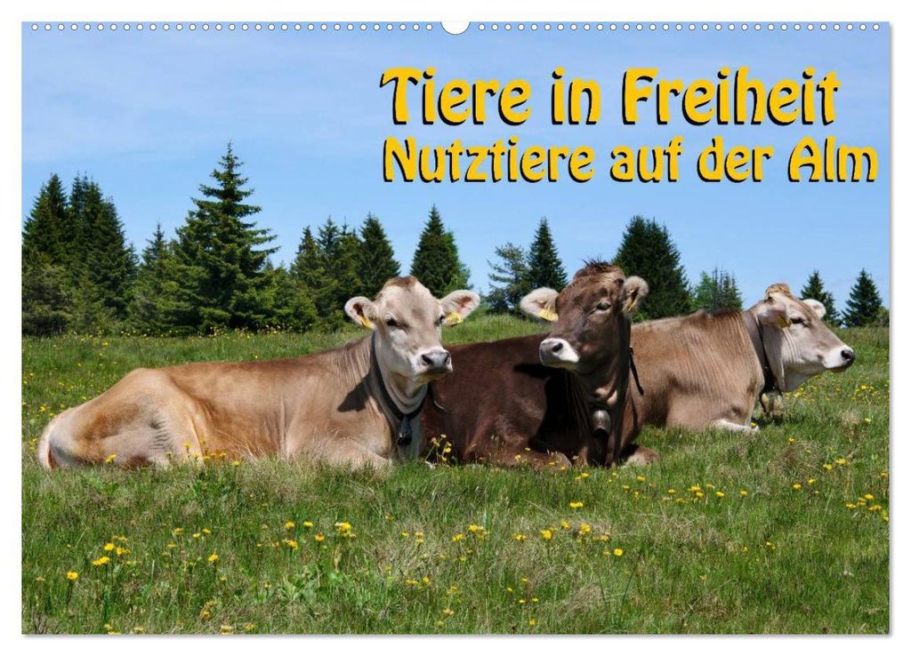 Tiere in Freiheit - Nutztiere auf der Alm (Wandkalender 2027 DIN A2 quer), CALVENDO Monatskalender