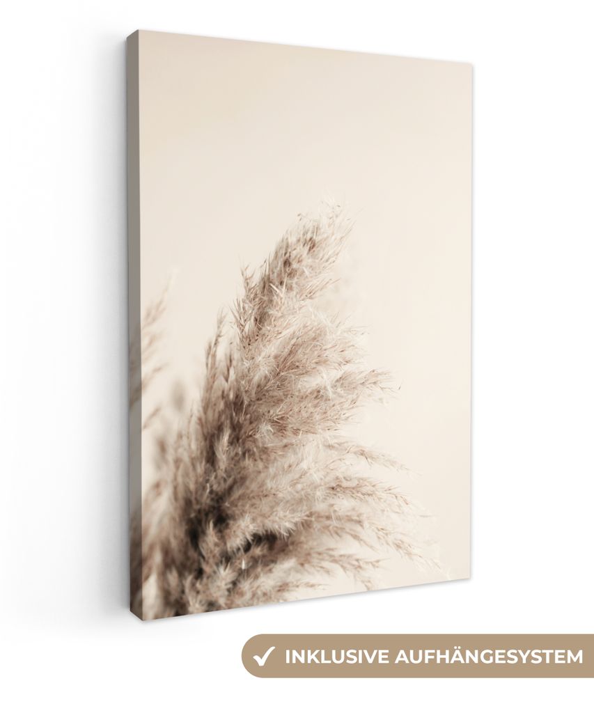 MuchoWow - Leinwandbilder - Pflanzen - Pampaswedel - Pampasgras - Beige - Natur, Wandbild, Wanddeko Bilder Wohnzimmer, 60x90 cm