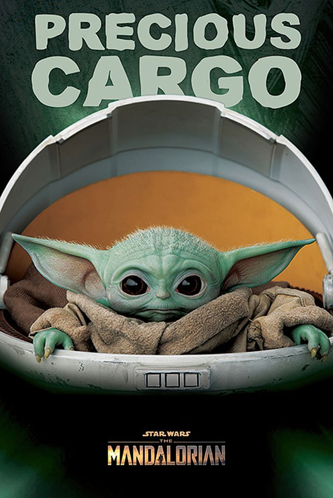 Star Wars: The Mandalorian - Precious Cargo - Poster