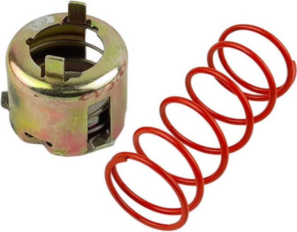 Verriegelungsmechanismus und Einstellfeder für linken Schuh Iveco | 65399617