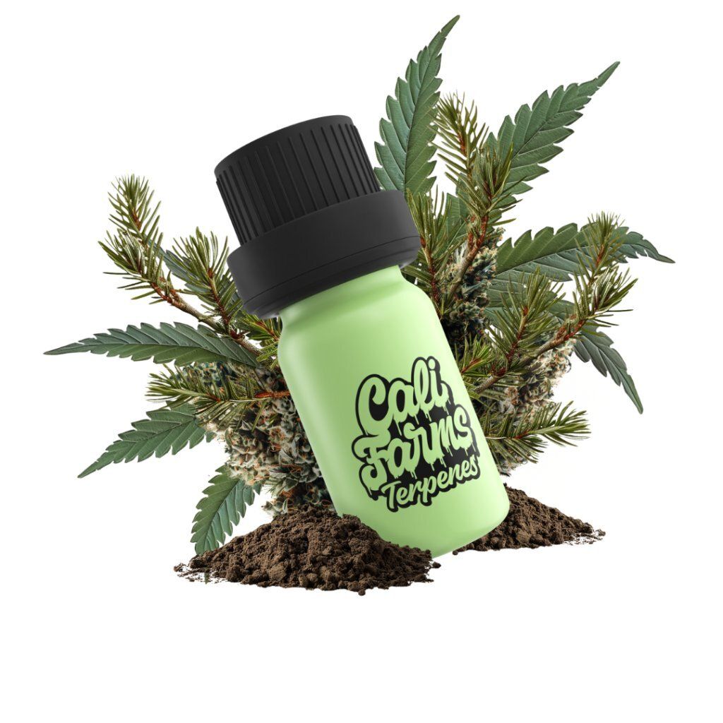 Cannabis terpènes Botanicals | TERPENE PROFILE - AC/DC | 1 Image du produit 
