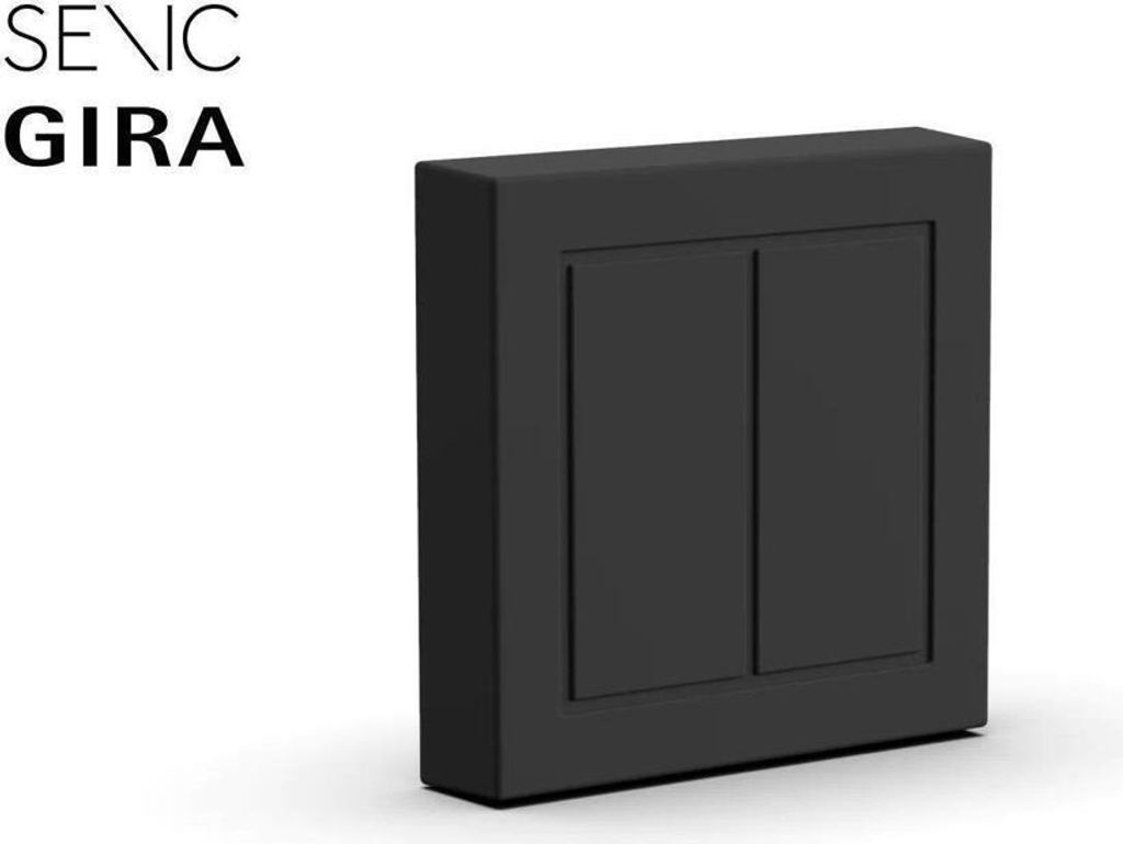 Senic Outdoor Switch for Philips Hue Black Neu