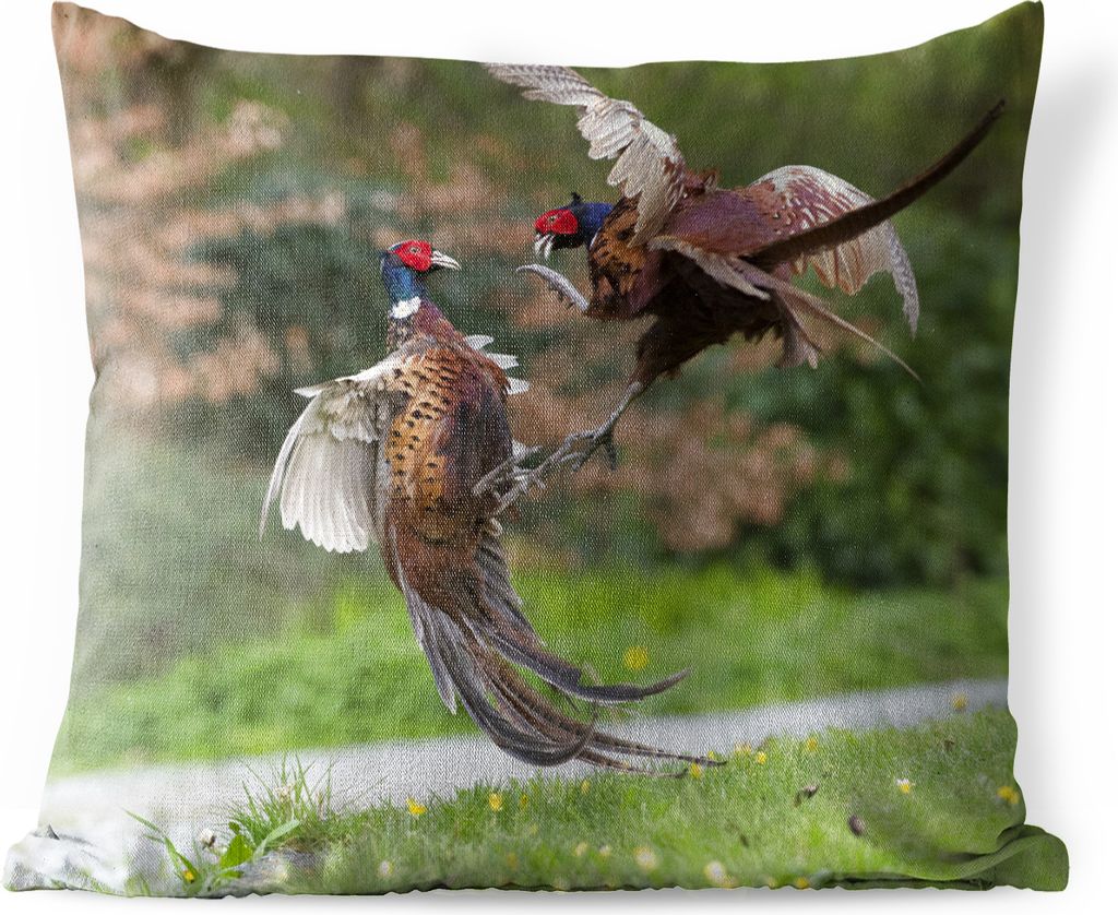 MuchoWow Outdoor Kissen - Fasane - Kämpfen - Vögel - 45x45 cm - Wetterfest - Lounge Kissen - Fotokissen - Dekoratives Kissen