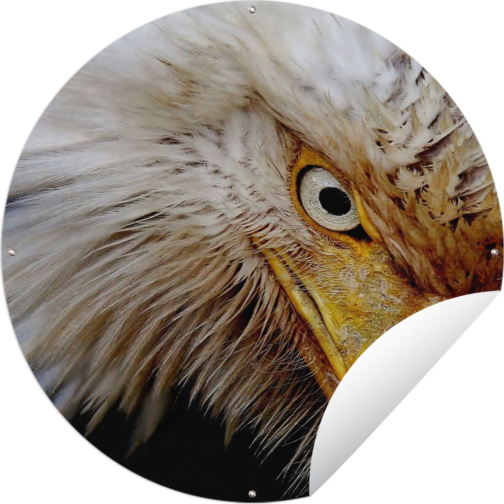 MuchoWow Gartenposter Outdoor-Poster Rund Vogel - Auge - Schnabel Ø 120 cm Gartendeko Rundes Poster draußen