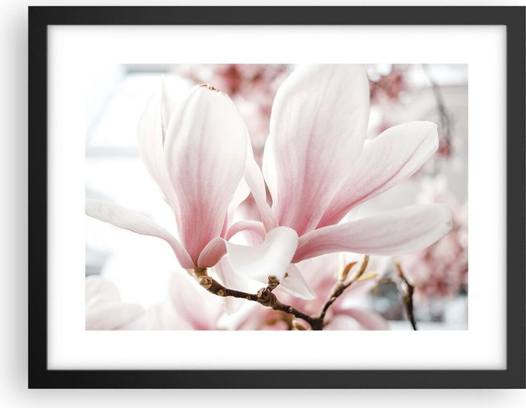 Gerahmtes Poster - Schwarzer Rahmen - Zweig Magnolie Blume - 40x30 cm - Wand Bild - Wanddeko - Wandbilder - Kunstposter - Wandposter - Bilderrahmen...