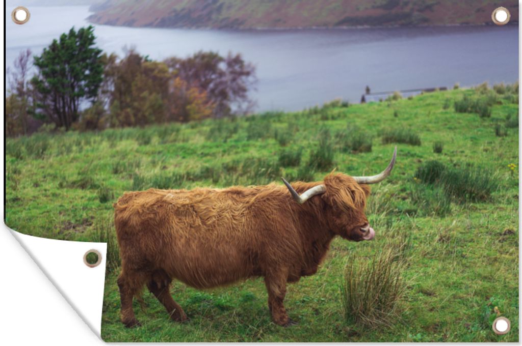 MuchoWow 90x60 cm Outdoor-Poster Gartendeko Sichtschutz Garten Poster für den Garten Schottische Highlander - Gras - Wasser - Tiere