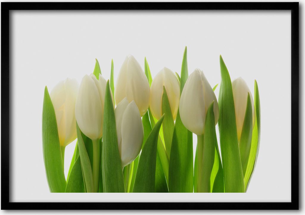 Bild - Bilderrahmen - 100 cm x 70 cm - MDF - Rahmen - Foto - Wandkunst Tulpen