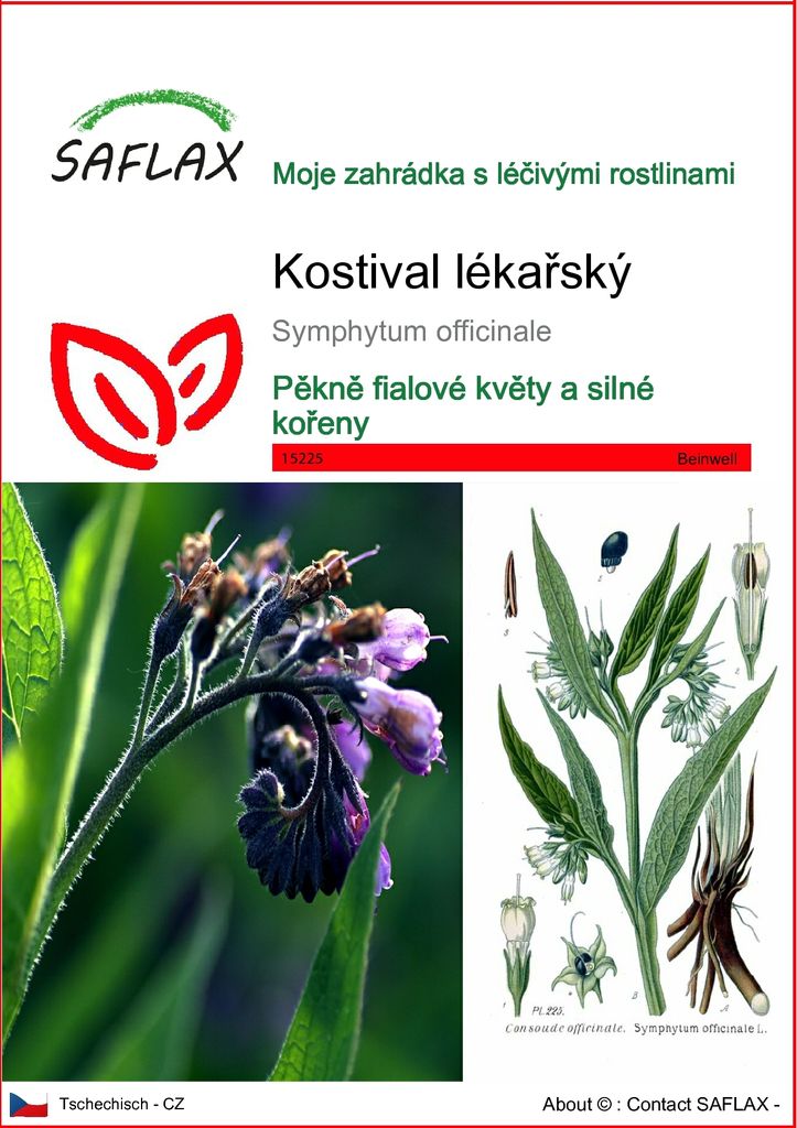 Komonice lékařská - Semena léčivé rostliny 15 semen - Obrázek produktu 