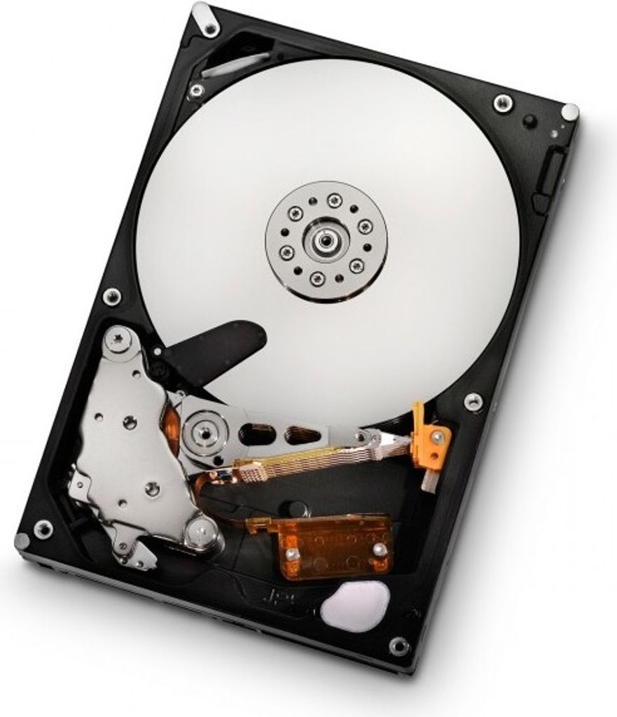 Western Digital Caviar Green 500 GB WD5000AZRX