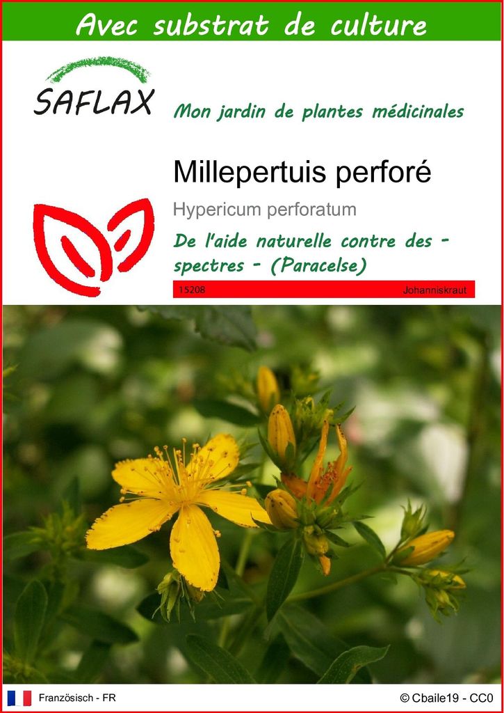 SAFLAX  - Millepertuis perforé - 300 graines - Avec Image du produit 