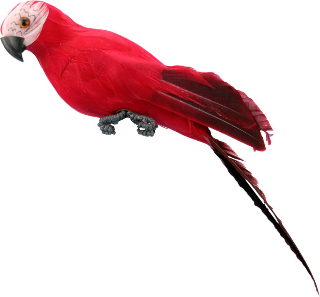 Simulationspapagei 3D eingebettete Augen Real Feather kreative künstliche Vogel Figur Garten Rasenverzierung für Ladwindow-Rot