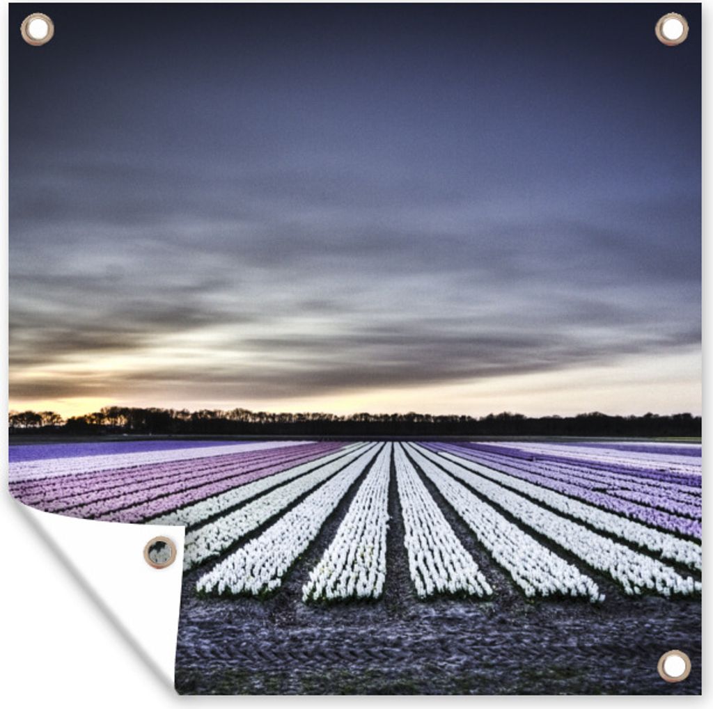 MuchoWow 50x50 cm Outdoor-Poster Gartendeko Sichtschutz Garten Poster für den Garten Tulpenfelder auf dem Keukenhof in Holland