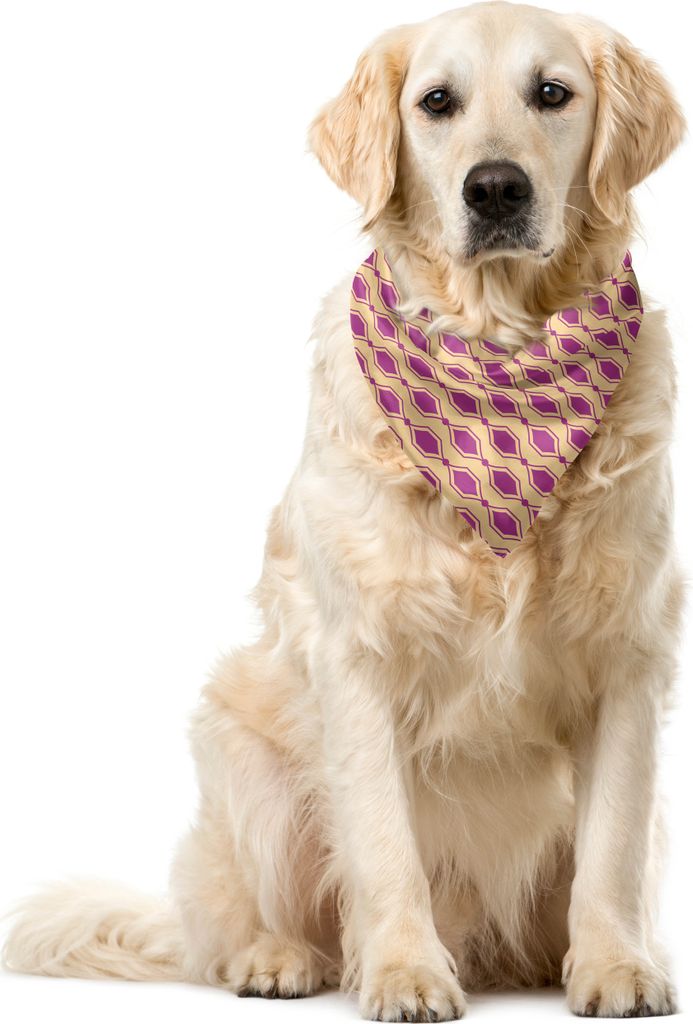 ABAKUHAUS Abstrakt Haustier Bandana, Retro Zier, 55x55 cm, Dunkle Magenta und Beige