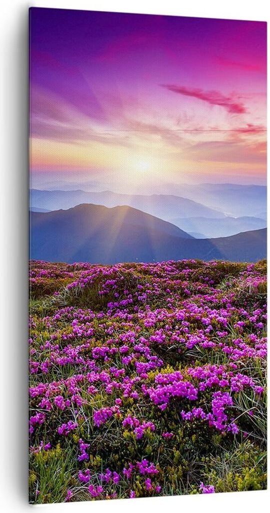 Bild auf Leinwand - Leinwandbild - Wiese Berg Himmel Landschaft - 65x120cm - Wand Bild - Wanddeko - Leinwanddruck - Bilder - Kunstdruck - Wanddekor...