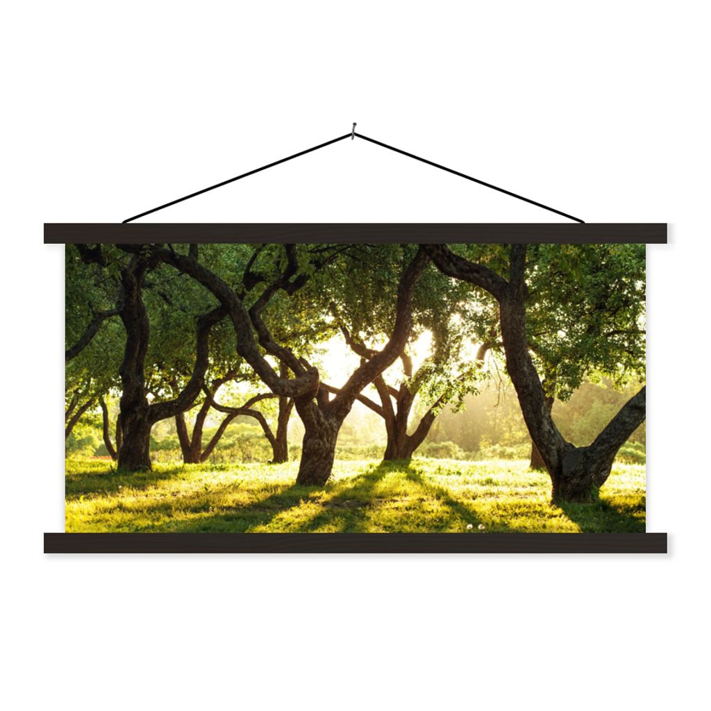 MuchoWow Textilposter Bäume - Natur - Sonne 90x45 cm mit schwarzem Rahmen - Klemmleisten