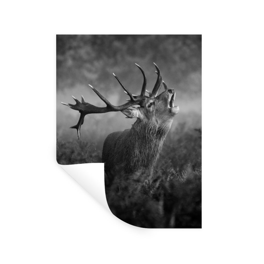 MuchoWow Wandtattoo Wandsticker Wandaufkleber Schreiende Hirsche im Herbst - schwarz und weiß 60x80 cm Selbstklebend und Repositionierbar - Repo...
