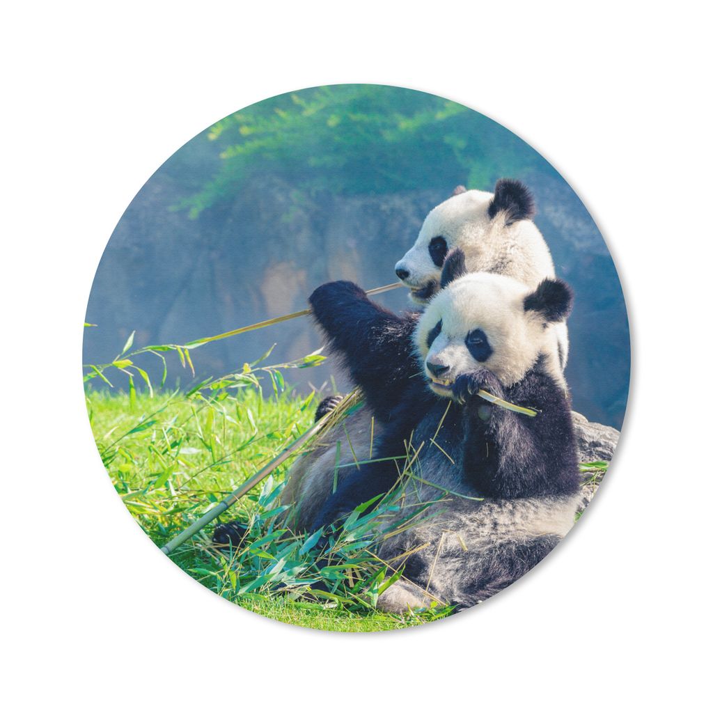 MuchoWow Mauspad Mousepad Panda - Bambus - Gras - Tiere 50x50 cm - Mousepads - Maus Mat - Pad - Mausunterlage - Vinyl