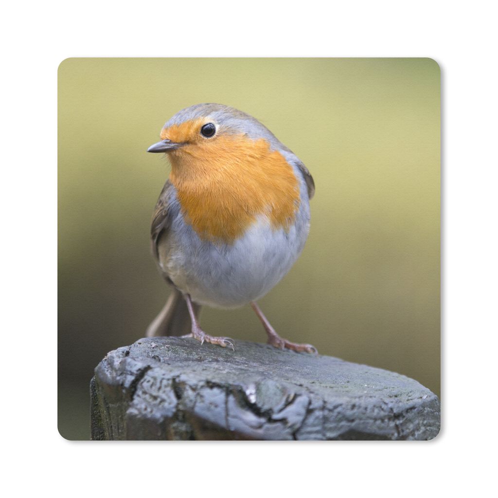 MuchoWow Mauspad Mousepad Pfahl - Rotkehlchen - Natur 20x20 cm - Mousepads - Maus Mat - Pad - Mausunterlage - Desk Mat - Bureauartikeln