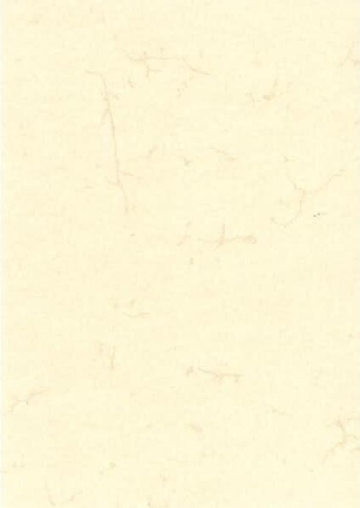 Elefantenhautpapier 110 g/m², weiß A4 Produktbild 