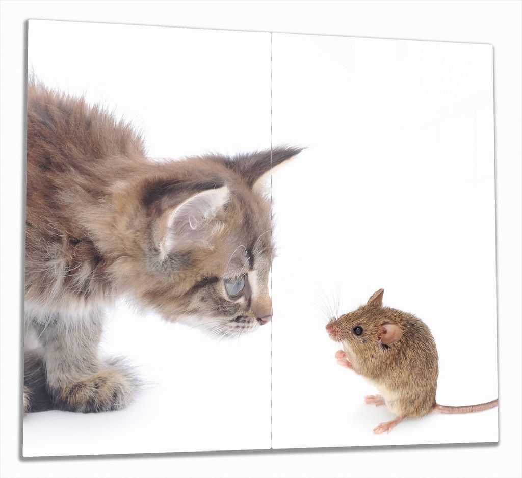 Wallario Herdabdeckplatte aus Glas, Größe 60 x 52 cm 2-teilig, Motiv Katze und Maus beim Spielen - weißer Hintergrund