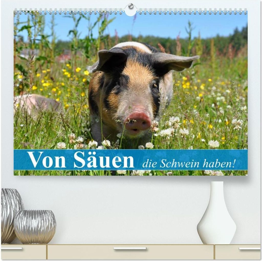 Von Säuen die Schwein haben! (hochwertiger Premium Wandkalender 2026 DIN A2 quer), Kunstdruck in Hochglanz