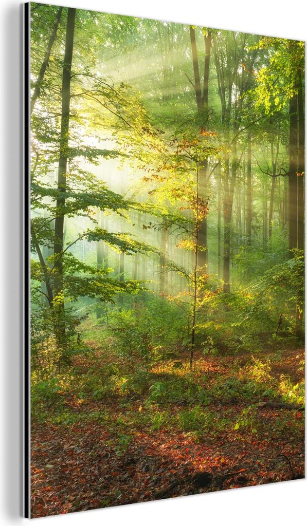MuchoWow Wanddekoration Metall Metallbild Wandkunst 30x40 cm Sonne - Wald - Bäume - Natur - Herbst MuchoWow Aluminium Gemälde - Bilder