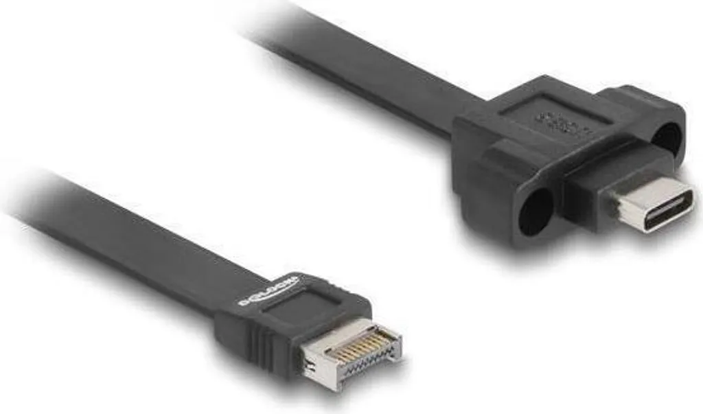 Estensione USB-C Delock per Case PC: Header 20 Pin a 10Gbps Veri