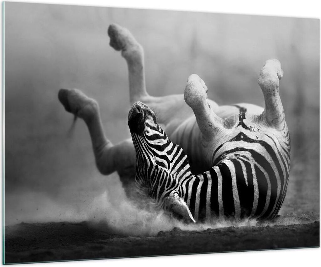 Bilder auf glas - Zebra Streifen Tier wild - 100x70cm - Glasbilder - Wandbilder - Kunstdruck - zum Aufhängen bereit - Wanddekoration aus Glas - Gl...