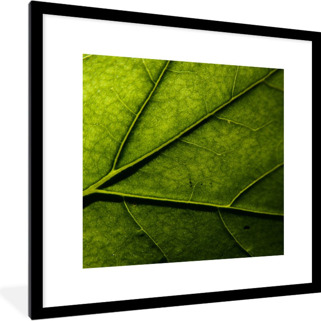 MuchoWow Gerahmtes Poster Nahaufnahme eines Blattes 40x40 cm - Poster mit Schwarzem Bilderrahmen Wandposter Rahmen Foto Bilder - Poster - Plakat ...
