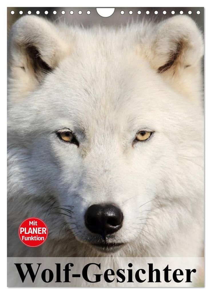 Wolf-Gesichter (Wandkalender 2027 DIN A4 hoch), CALVENDO Monatskalender
