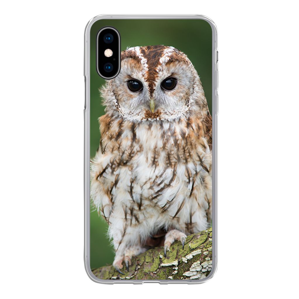 MuchoWow Handyhülle Schutzhülle Hülle für iPhone X Braune Eule sitzt auf einem Baum Silikon Softcase Handy Hülle - Handyhülle