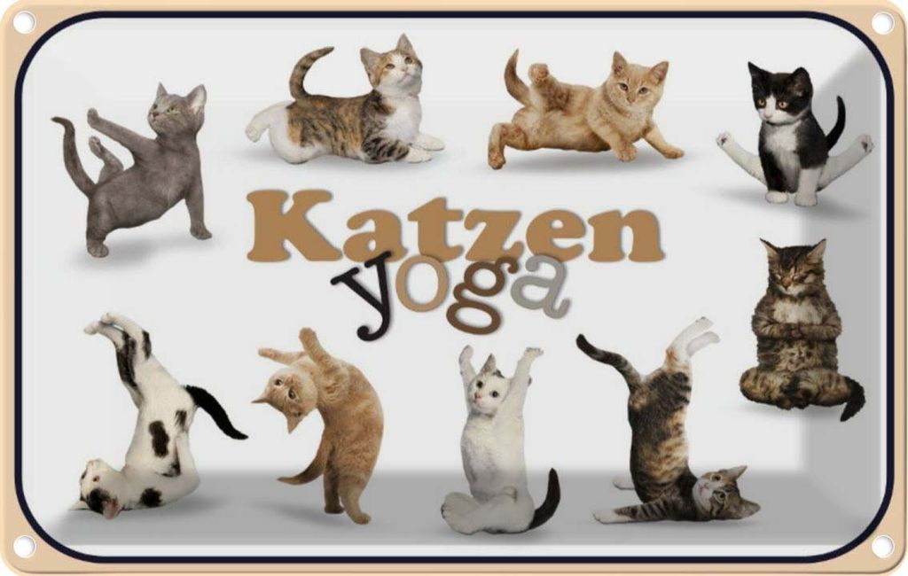 vianmo Blechschild 12x18 cm Katze Katzen Yoga Tier Haustier