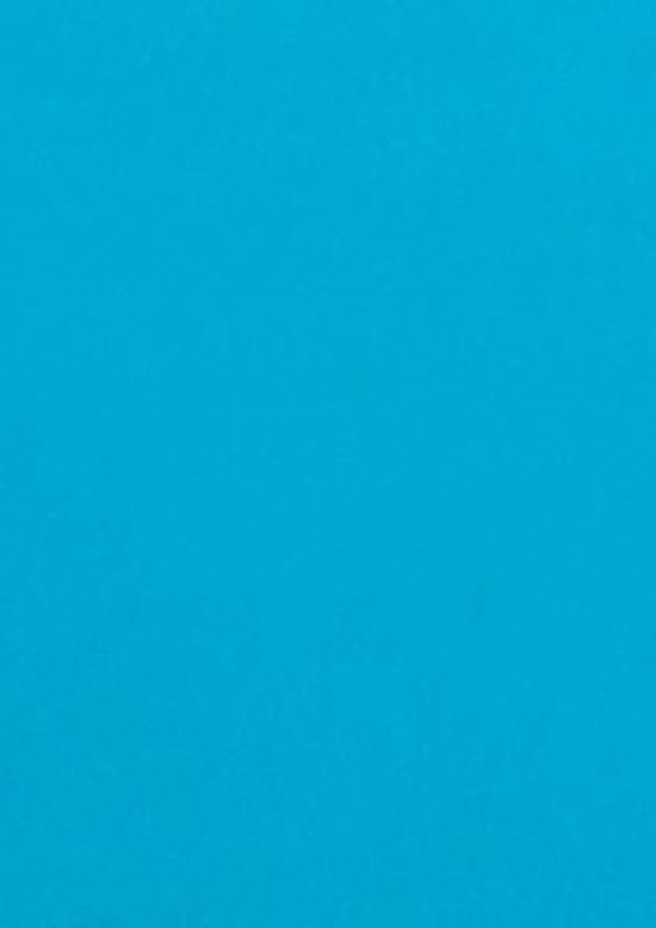 Clairefontaine CLAIRALFA PPP A4 80G 100BL KARIBIKBLAU