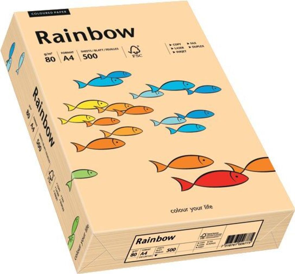 Papier multifonctionnel PAPYRUS Rainbow A4 80 g/qm saumon Image du produit 