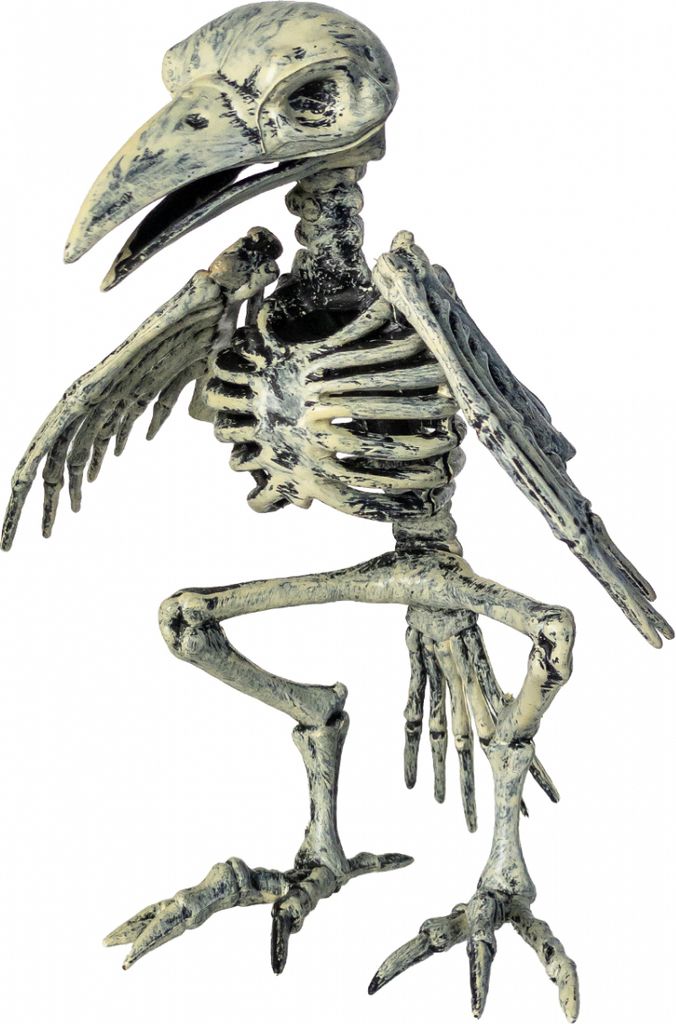 Verrottetes Raben Skelett als Halloween Deko 20 cm Produktbild 