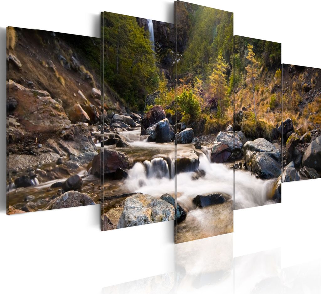 Modernes Wandbild 030212- 14 (100x50) - 5 Teilig Bilder Fotografie auf Vlies Leinwand Foto Bild Dekoration Wand Bilder Kunstdruck Natur
