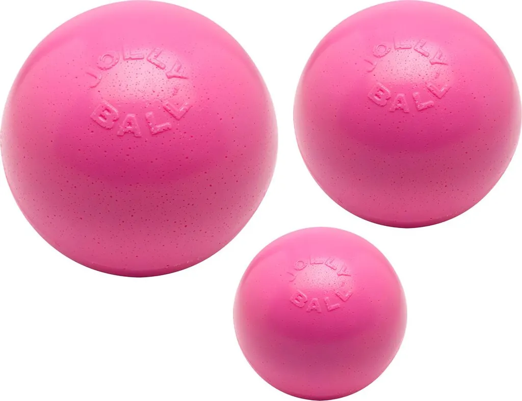 Jouet Chien pour Grand Jardin Jolly Ball 20cm Rose Flottante et Odorante