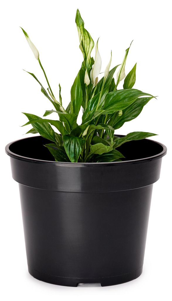 Garronda Blumentopf GD-0025 (1 Stück - Schwarz, 21cm H=16cm)