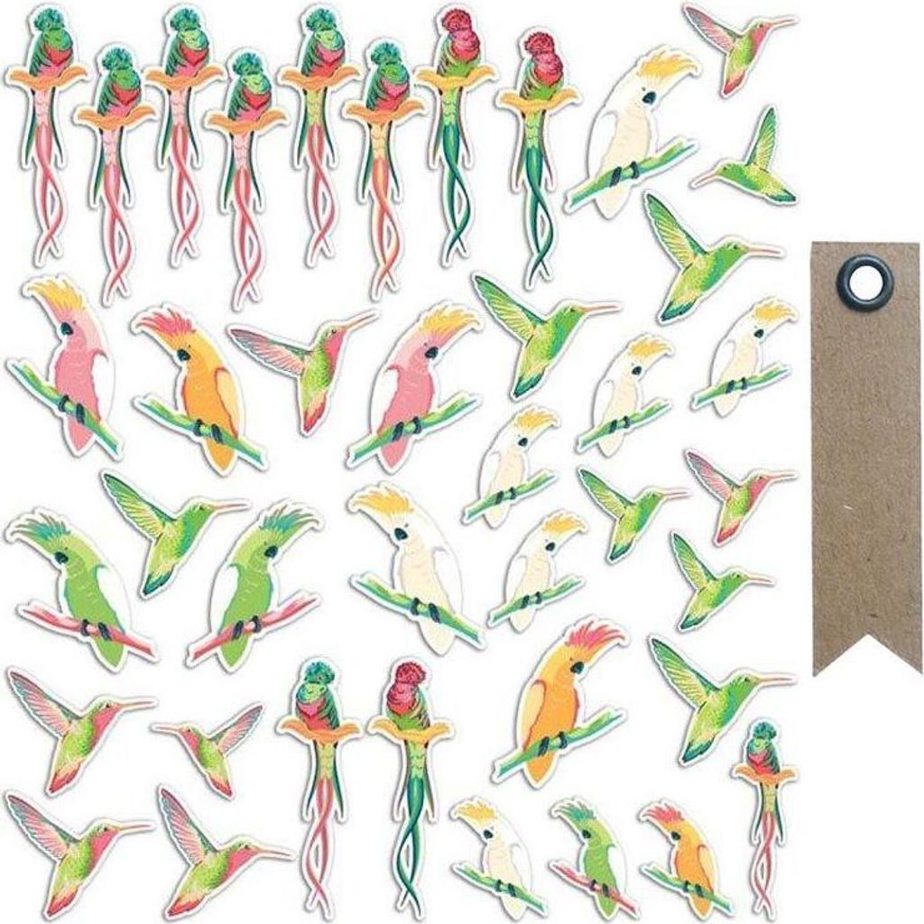 40 Die-Cuts aus Papier - tropische Vögel + 20 Wimpel Kraft Etiketten